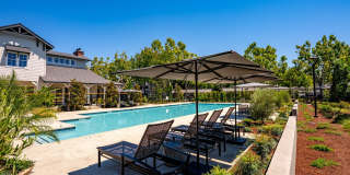 The Presidio Apartments Gallery 20