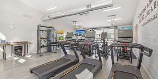 Authentix Greeley Gallery 62