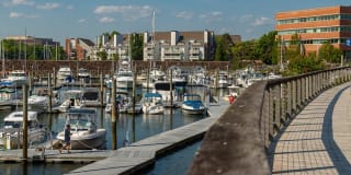 The Hazel Gallery 26