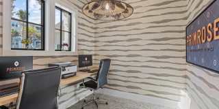 Primrose at Santa Rosa Beach Gallery 51