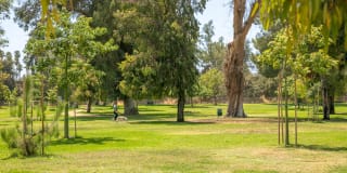 Academy Village Gallery 16