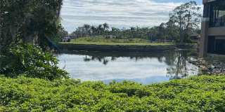 3121 LONGMEADOW Gallery 15