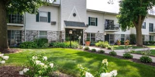 New Fountains Gallery 16