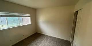 Updated 3 Bedroom with Large Yard Gallery 10