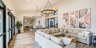 Artemis at Spring Canyon Gallery 7