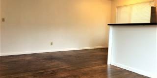Angeline Gallery 11
