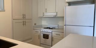 Sun Hala off Kapahulu Ave Gallery 1