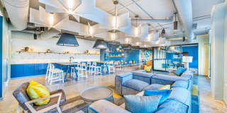 The Baxly Gallery 11