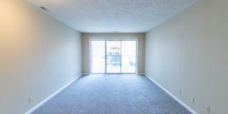 Adriana Court Gallery 20