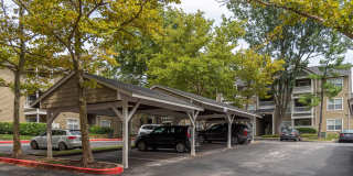 Autumn Town Center Gallery 25