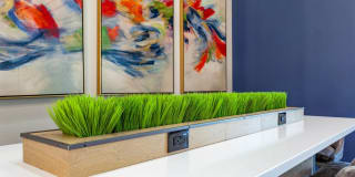 The Village at Lindsay Park Gallery 10