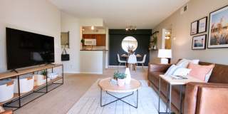 TGM Springbrook Gallery 6