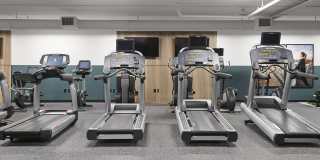 Novi at Queen Anne Gallery 36