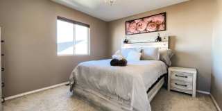 1565 Gumwood Drive Gallery 18
