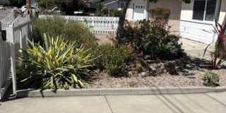 Beautiful 3 Bedroom, 1 Bathroom house Beautiful 3 Bedroom, 1 Bathroom house Gallery 5