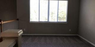 5901 TAVERNIER Street Gallery 16