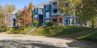 Avana Lexington Gallery 49