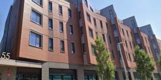 Modern new construction Allston @ Packard's Crossing Gallery 11