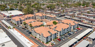 Twin Palms Gallery 31