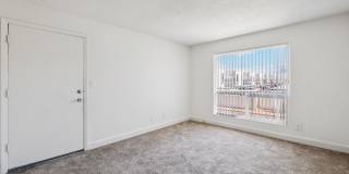 San Rivello Gallery 11