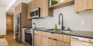 Alice House Gallery 4