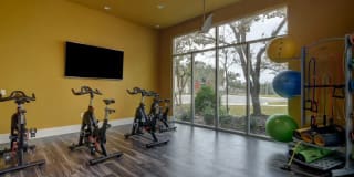 Boardwalk on Research Gallery 9