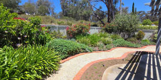 Scripps Ranch Beauty Gallery 25