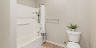 Polaris Peak Gallery 77