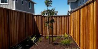 1 MONTH FREE! The Vineyards at Dennis Lane Studio unit with backyard and garage Gallery 9