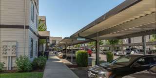 Forestplace Apartment Homes Gallery 5