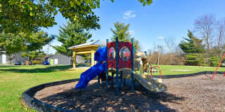 The Element Gallery 38