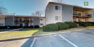 Mallow at The Hills Gallery 9