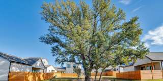 ParcHAUS at Mustang Drive Gallery 43