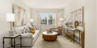 Northpark Place Gallery 23