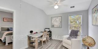 147 Palm Cove Way Gallery 19