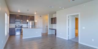 Century Palm Bluff Gallery 29