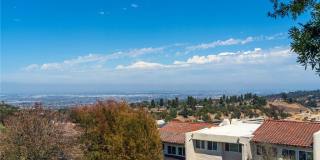 37 Cottonwood Gallery 15