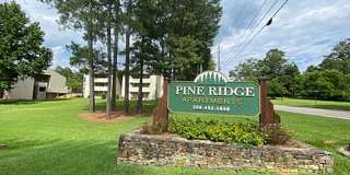 Pine Ridge Gallery 1