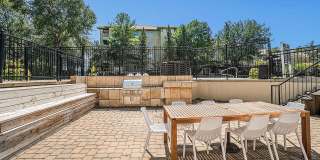 Corinth Paddock Gallery 35