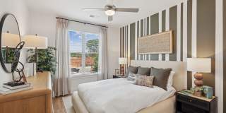 Accent Overlook Gallery 8