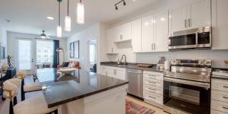 Taryn at 401 Gallery 2