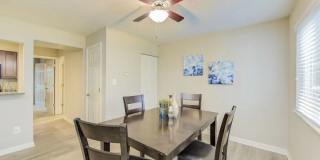 Harbour Town Gallery 11