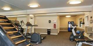 The Signature Gallery 58