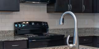 Red Knot at Edinburgh Gallery 11