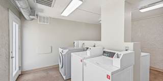 Arcadia 30 Gallery 18