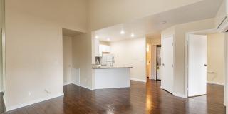 450 Elm Drive Gallery 5
