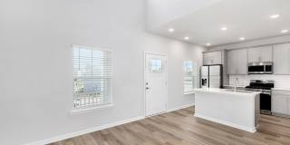 Sea Trace Gallery 26