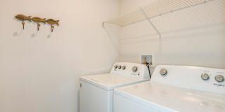 Sunset Village Gallery 17