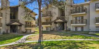 29656 Buffalo Park Road - #206 Gallery 1