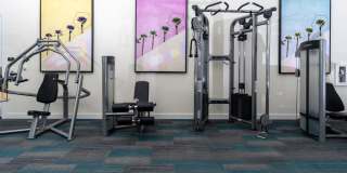 Camino Real Gallery 23